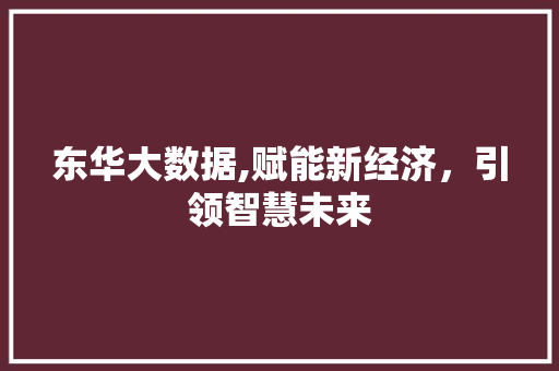 东华大数据,赋能新经济，引领智慧未来 神马SEO