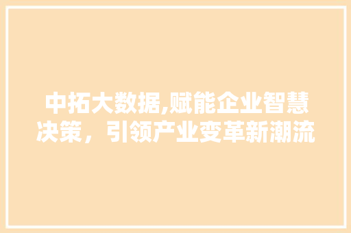 中拓大数据,赋能企业智慧决策，引领产业变革新潮流