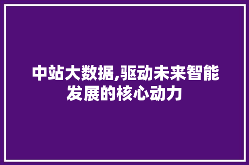 中站大数据,驱动未来智能发展的核心动力 百度SEO