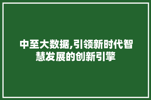 中至大数据,引领新时代智慧发展的创新引擎 网站建设公司