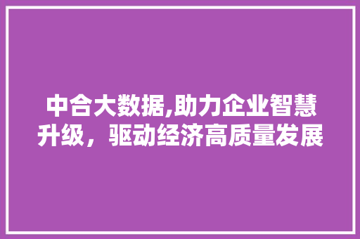 中合大数据,助力企业智慧升级，驱动经济高质量发展