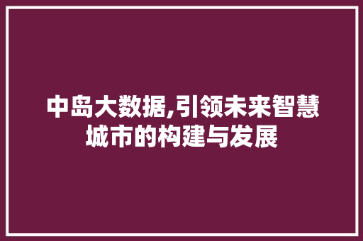 中岛大数据,引领未来智慧城市的构建与发展