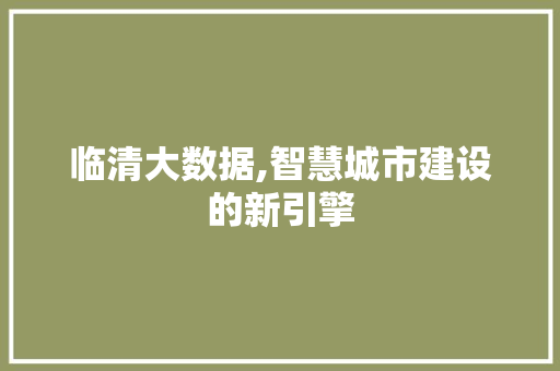 临清大数据,智慧城市建设的新引擎 搜狗SEO