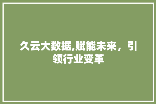久云大数据,赋能未来，引领行业变革 必应SEO