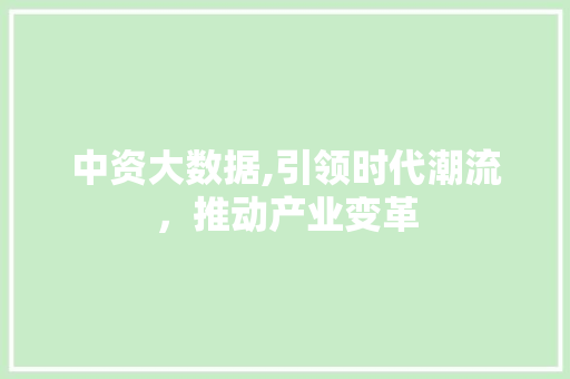 中资大数据,引领时代潮流，推动产业变革 必应SEO