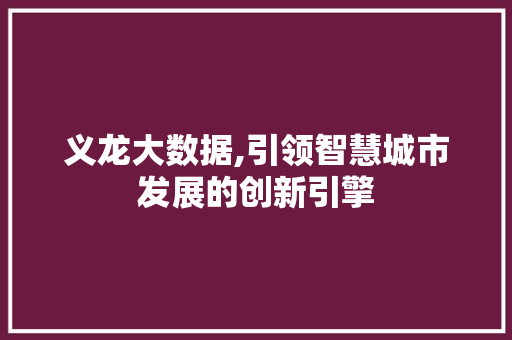 义龙大数据,引领智慧城市发展的创新引擎 SEO关键词