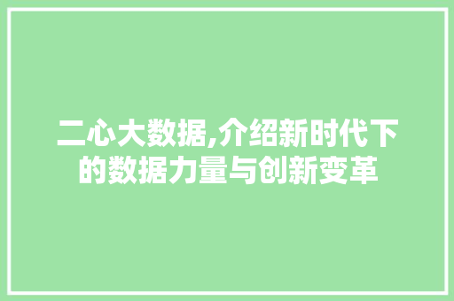 二心大数据,介绍新时代下的数据力量与创新变革