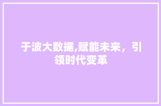 于波大数据,赋能未来，引领时代变革