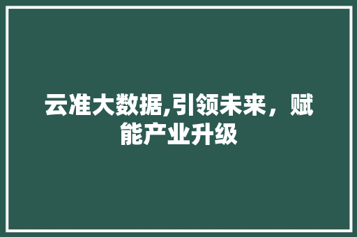 云准大数据,引领未来，赋能产业升级