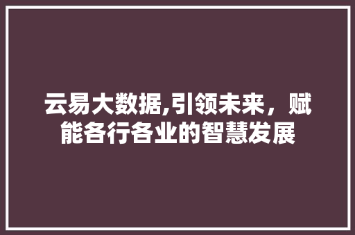 云易大数据,引领未来，赋能各行各业的智慧发展