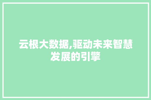 云根大数据,驱动未来智慧发展的引擎