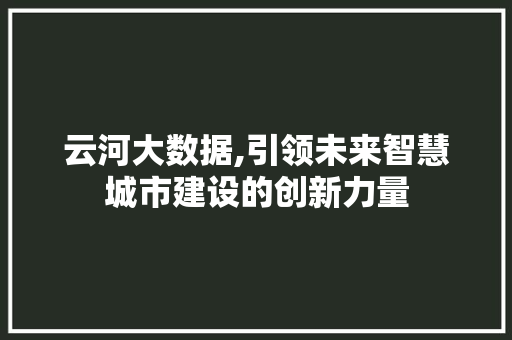 云河大数据,引领未来智慧城市建设的创新力量