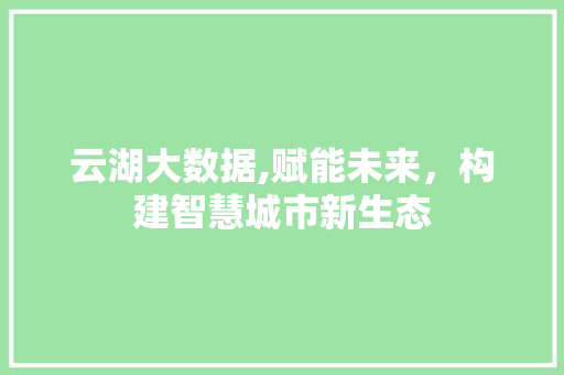 云湖大数据,赋能未来，构建智慧城市新生态