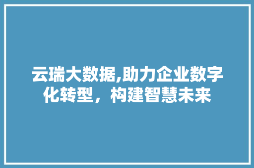 云瑞大数据,助力企业数字化转型，构建智慧未来 搜狗SEO