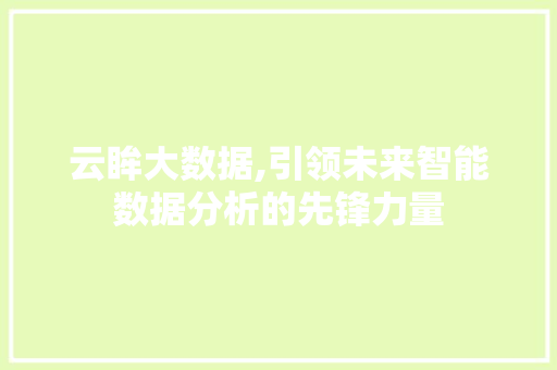 云眸大数据,引领未来智能数据分析的先锋力量