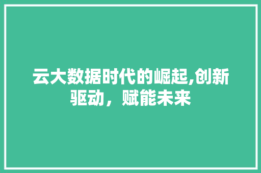 云大数据时代的崛起,创新驱动，赋能未来 必应SEO