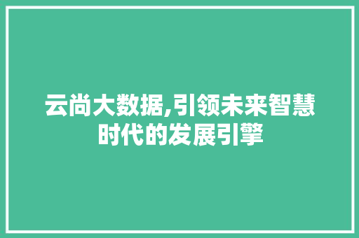 云尚大数据,引领未来智慧时代的发展引擎 SEO关键词