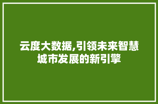 云度大数据,引领未来智慧城市发展的新引擎 百度SEO