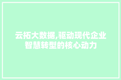 云拓大数据,驱动现代企业智慧转型的核心动力 搜狗SEO