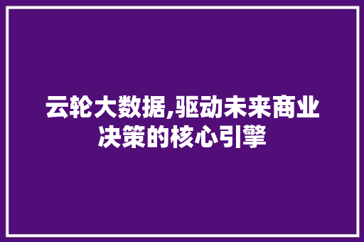 云轮大数据,驱动未来商业决策的核心引擎