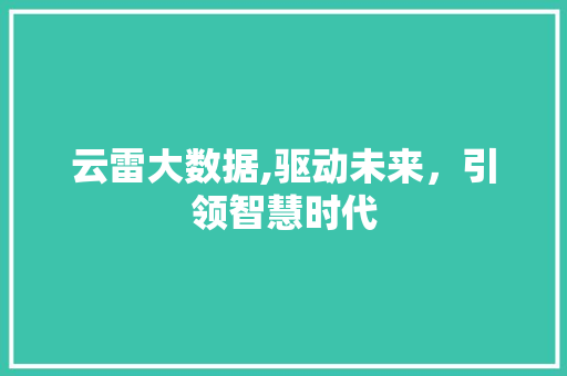 云雷大数据,驱动未来，引领智慧时代