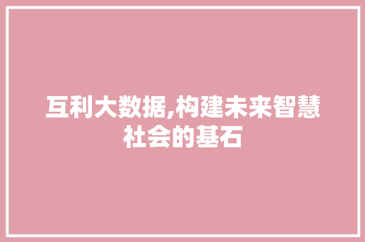 互利大数据,构建未来智慧社会的基石