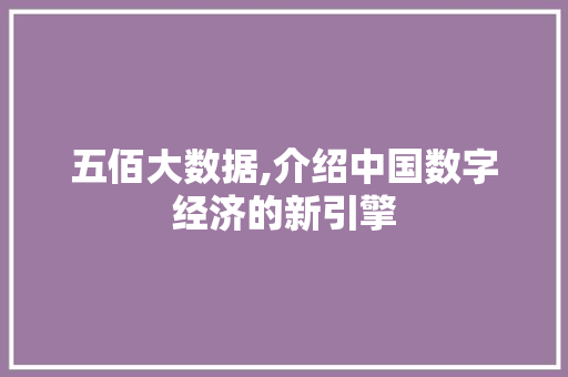 五佰大数据,介绍中国数字经济的新引擎