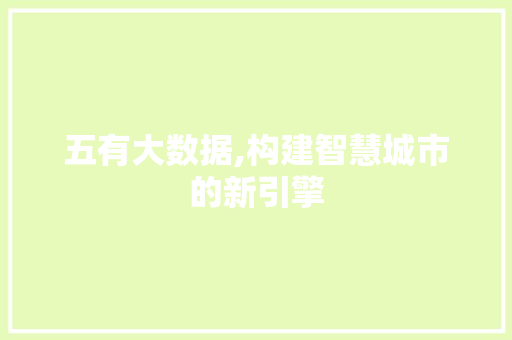 五有大数据,构建智慧城市的新引擎 必应SEO