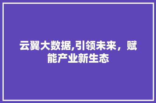 云翼大数据,引领未来，赋能产业新生态