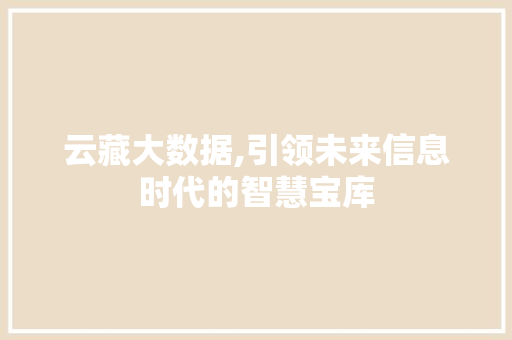 云藏大数据,引领未来信息时代的智慧宝库