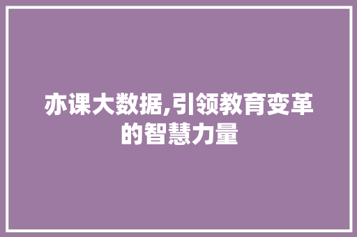 亦课大数据,引领教育变革的智慧力量