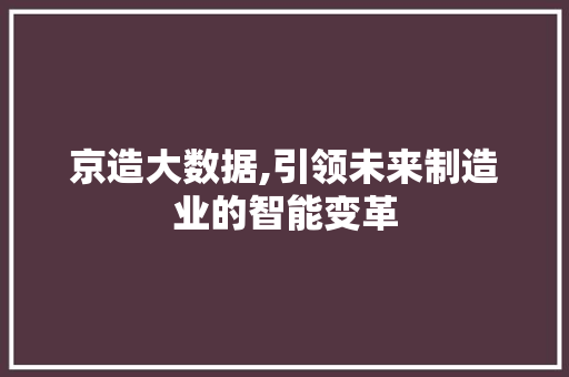 京造大数据,引领未来制造业的智能变革 SEO关键词