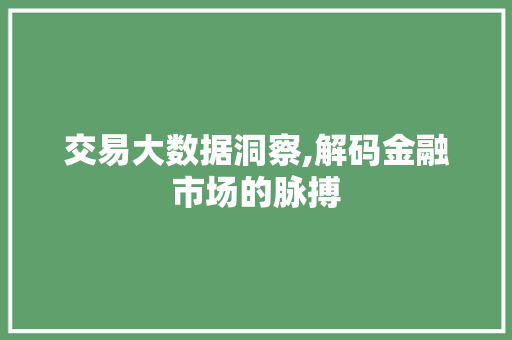 交易大数据洞察,解码金融市场的脉搏 神马SEO