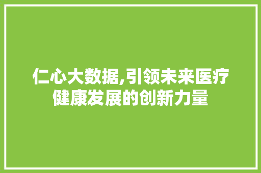 仁心大数据,引领未来医疗健康发展的创新力量 SEO关键词