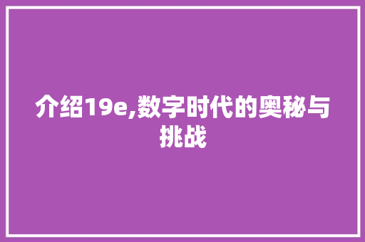 介绍19e,数字时代的奥秘与挑战 必应SEO