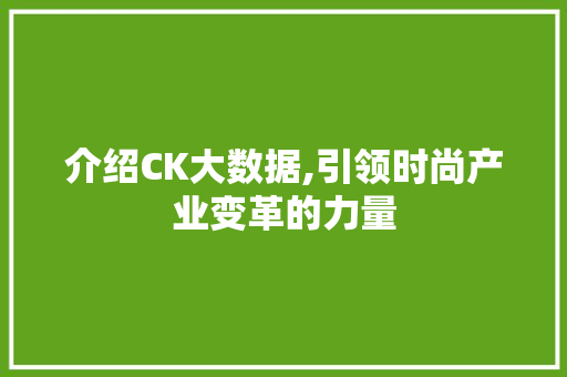 介绍CK大数据,引领时尚产业变革的力量