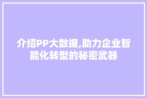介绍PP大数据,助力企业智能化转型的秘密武器