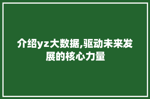 介绍yz大数据,驱动未来发展的核心力量