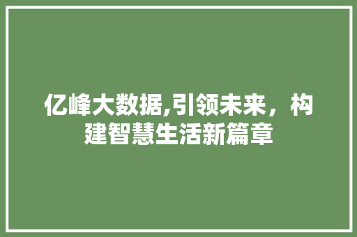 亿峰大数据,引领未来，构建智慧生活新篇章