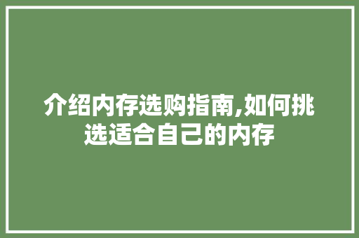介绍内存选购指南,如何挑选适合自己的内存