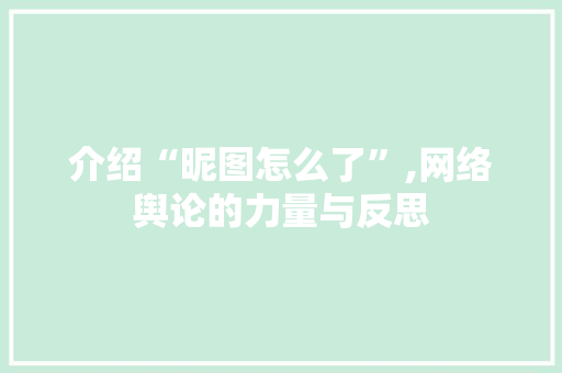 介绍“昵图怎么了”,网络舆论的力量与反思 搜狗SEO