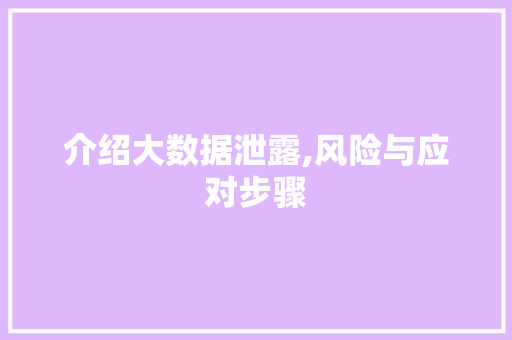 介绍大数据泄露,风险与应对步骤 网站建设公司