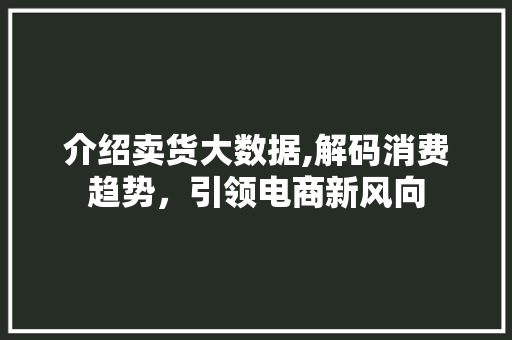 介绍卖货大数据,解码消费趋势，引领电商新风向