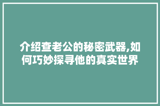 介绍查老公的秘密武器,如何巧妙探寻他的真实世界 搜狗SEO