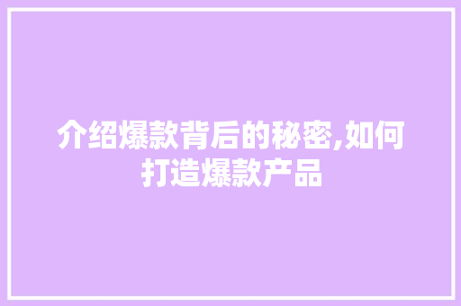 介绍爆款背后的秘密,如何打造爆款产品