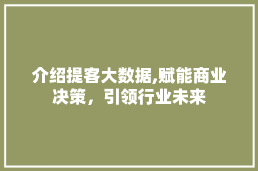 介绍提客大数据,赋能商业决策，引领行业未来