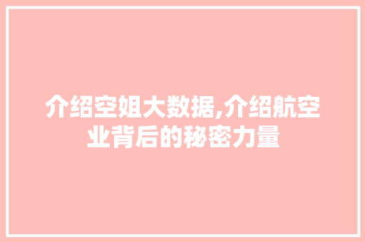 介绍空姐大数据,介绍航空业背后的秘密力量