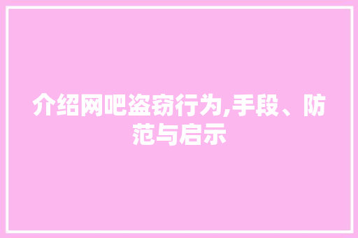 介绍网吧盗窃行为,手段、防范与启示