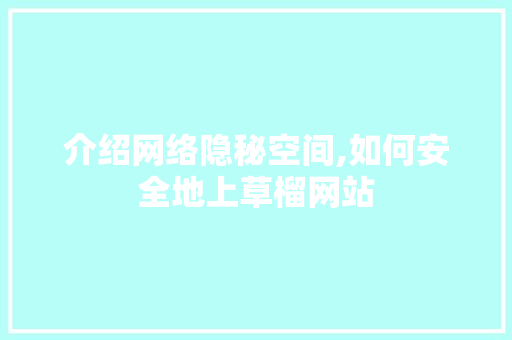 介绍网络隐秘空间,如何安全地上草榴网站