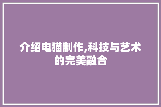 介绍电猫制作,科技与艺术的完美融合 必应SEO
